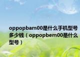 oppopbam00是什么手机型号多少钱（oppopbem00是什么型号）