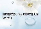 蝈蝈都吃些什么（蝈蝈吃什么简介介绍）