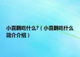 小喜鹊吃什么?（小喜鹊吃什么简介介绍）