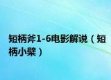 短柄斧1-6电影解说（短柄小檗）