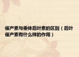 催产素与垂体后叶素的区别（后叶催产素有什么样的作用）