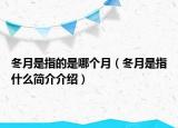 冬月是指的是哪个月（冬月是指什么简介介绍）