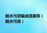 脱水污泥输送活塞泵（脱水污泥）