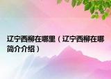 辽宁西柳在哪里（辽宁西柳在哪简介介绍）