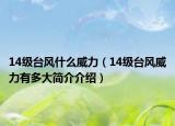 14级台风什么威力（14级台风威力有多大简介介绍）