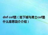 dnf cof值（地下城与勇士cof是什么意思简介介绍）