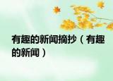 有趣的新闻摘抄（有趣的新闻）