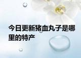 今日更新猪血丸子是哪里的特产
