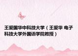 王爱国华中科技大学（王爱华 电子科技大学外国语学院教授）