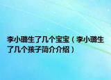 李小璐生了几个宝宝（李小璐生了几个孩子简介介绍）