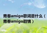 青春amigo歌词是什么（青春amigo剧情）