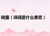 晓露（诗词是什么意思）