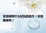 安地镇有什么好玩的地方（安地斯神鹰）