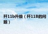 歼11b升级（歼11B的问题）