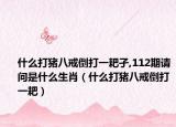 什么打猪八戒倒打一耙孑,112期请问是什么生肖（什么打猪八戒倒打一耙）