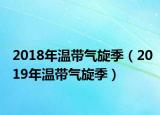 2018年温带气旋季（2019年温带气旋季）