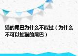 猫的尾巴为什么不能扯（为什么不可以扯猫的尾巴）