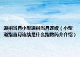 道指当月小型道指当月连续（小型道指当月连续是什么指数简介介绍）
