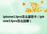 iphone13pro怎么装双卡（iphone13pro怎么投屏）