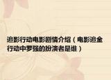 追影行动电影剧情介绍（电影追金行动中罗强的扮演者是谁）