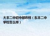 大丰二中初中部咋样（东丰二中学校怎么样）