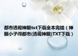 都市透视神眼txt下载全本完结（神眼小子闯都市(透视神眼)TXT下载）
