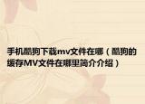 手机酷狗下载mv文件在哪（酷狗的缓存MV文件在哪里简介介绍）