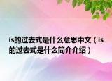 is的过去式是什么意思中文（is的过去式是什么简介介绍）