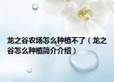 龙之谷农场怎么种植不了（龙之谷怎么种植简介介绍）