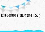 切片是指（切片是什么）