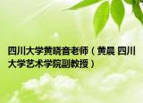 四川大学黄晓音老师（黄晨 四川大学艺术学院副教授）