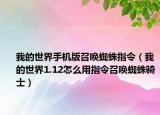 我的世界手机版召唤蜘蛛指令（我的世界1.12怎么用指令召唤蜘蛛骑士）