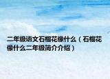 二年级语文石榴花像什么（石榴花像什么二年级简介介绍）