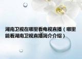 湖南卫视在哪里看电视直播（哪里能看湖南卫视直播简介介绍）