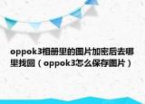 oppok3相册里的图片加密后去哪里找回（oppok3怎么保存图片）