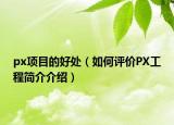 px项目的好处（如何评价PX工程简介介绍）