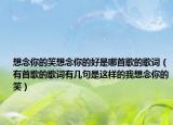 想念你的笑想念你的好是哪首歌的歌词（有首歌的歌词有几句是这样的我想念你的笑）