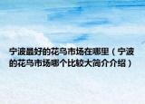 宁波最好的花鸟市场在哪里（宁波的花鸟市场哪个比较大简介介绍）