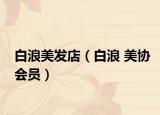 白浪美发店（白浪 美协会员）