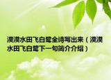 漠漠水田飞白鹭全诗写出来（漠漠水田飞白鹭下一句简介介绍）