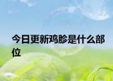 今日更新鸡胗是什么部位