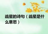疏星的诗句（疏星是什么意思）