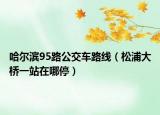 哈尔滨95路公交车路线（松浦大桥一站在哪停）