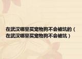 在武汉哪里买宠物狗不会被坑的（在武汉哪里买宠物狗不会被坑）
