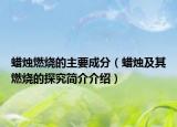 蜡烛燃烧的主要成分（蜡烛及其燃烧的探究简介介绍）
