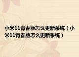 小米11青春版怎么更新系统（小米11青春版怎么更新系统）