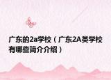 广东的2a学校（广东2A类学校有哪些简介介绍）