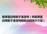 胶原蛋白有助于美容吗（吃胶原蛋白有助于美容吗蚂蚁庄园简介介绍）