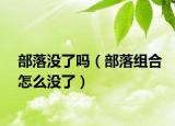 部落没了吗（部落组合怎么没了）