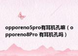opporeno5pro有耳机孔嘛（opporeno8Pro 有耳机孔吗）